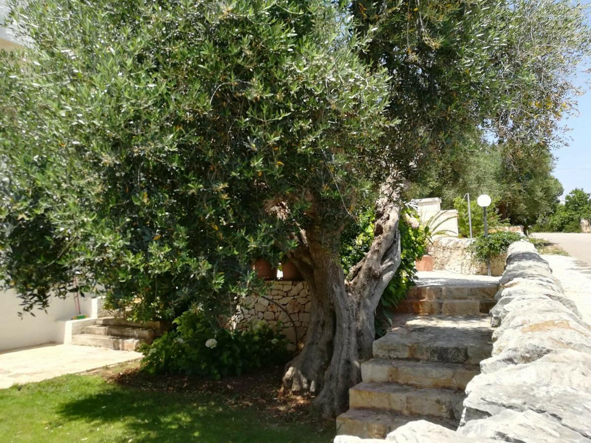 Residenza Aurora Ostuni Exterior foto