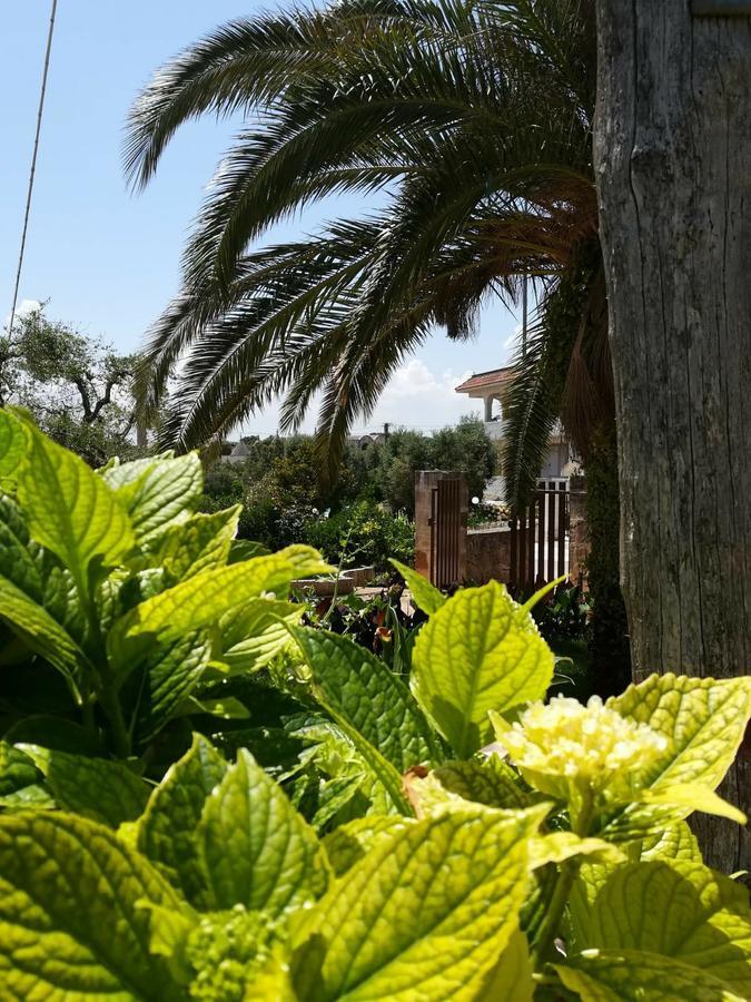Residenza Aurora Ostuni Exterior foto